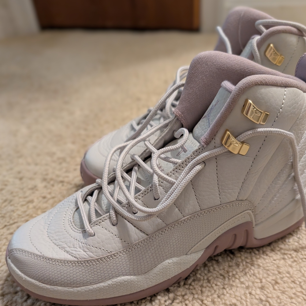Nike Retro 12 Plum Fog